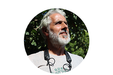 image of Ricardo Brandão